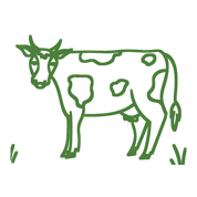Bydło